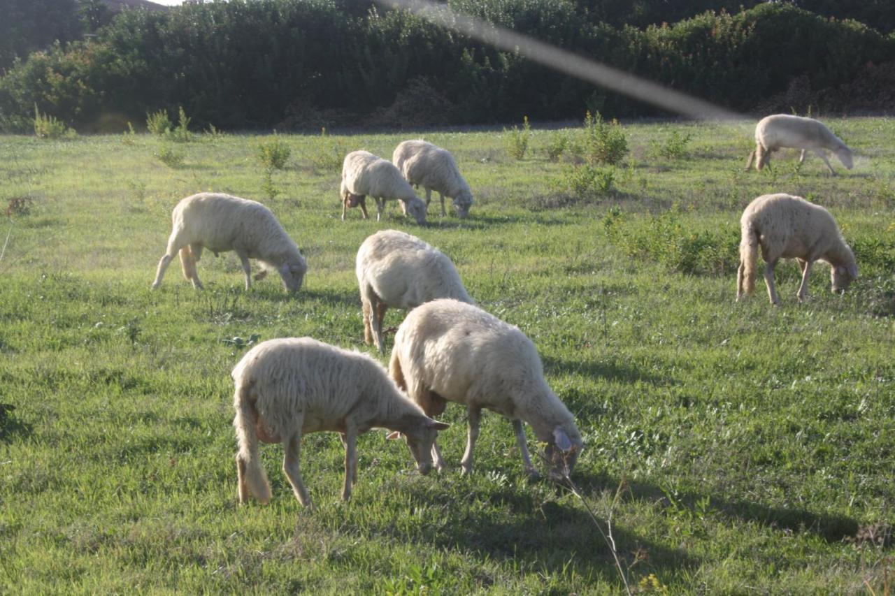 Sa Cannizzada Funtana Meiga Exterior foto